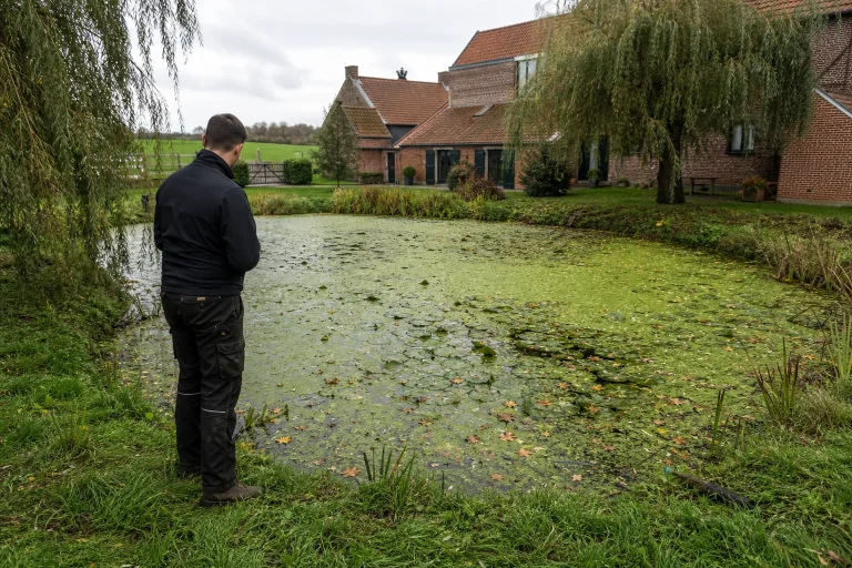 Replantation des berges d'une mare dans les Hauts-de-France